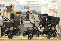 Harrogate Nursery Fair 2021