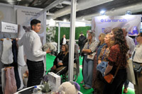 Harrogate Nursery Fair 2025