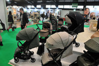 Harrogate Nursery Fair 2025