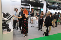 Harrogate Nursery Fair 2025