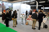 Harrogate Nursery Fair 2025