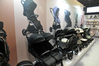 Harrogate Nursery Fair 2025