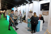 Harrogate Nursery Fair 2025