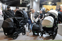 Harrogate Nursery Fair 2025