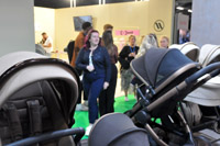 Harrogate Nursery Fair 2025