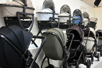 Harrogate Nursery Fair 2025