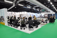 Harrogate Nursery Fair 2025