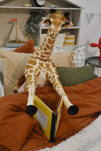 Harrogate Nursery Fair 2025