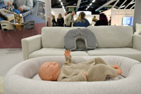 Harrogate Nursery Fair 2025