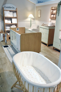 Harrogate Nursery Fair 2025