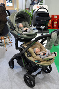 Harrogate Nursery Fair 2025