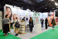 Harrogate Nursery Fair 2025