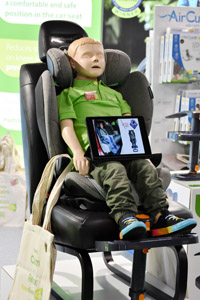 Harrogate Nursery Fair 2025