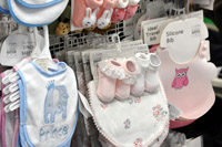 Harrogate Nursery Fair 2025