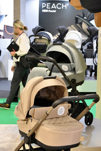 Harrogate Nursery Fair 2025