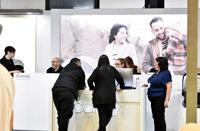 Harrogate Nursery Fair 2025