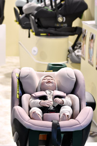 Harrogate Nursery Fair 2025