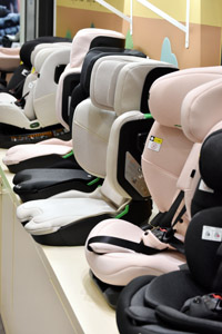 Harrogate Nursery Fair 2025