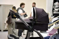 Harrogate Nursery Fair 2025