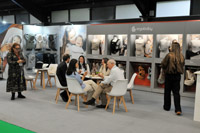 Harrogate Nursery Fair 2025