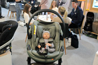 Harrogate Nursery Fair 2025