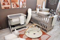 Harrogate Nursery Fair 2025