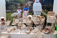 Harrogate Nursery Fair 2025