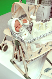 Harrogate Nursery Fair 2025