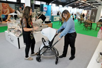 Harrogate Nursery Fair 2025