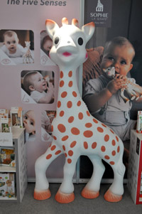 Harrogate Nursery Fair 2025