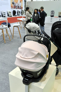 Harrogate Nursery Fair 2025