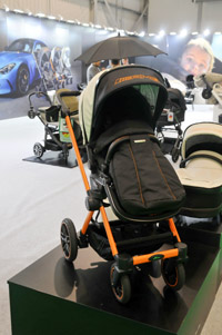 Harrogate Nursery Fair 2025