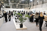 Harrogate Nursery Fair 2025