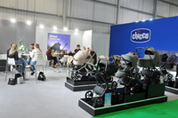 Harrogate Nursery Fair 2025