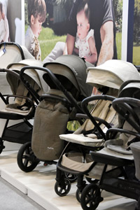 Harrogate Nursery Fair 2025