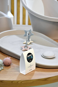 Harrogate Nursery Fair 2025