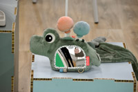 Harrogate Nursery Fair 2025