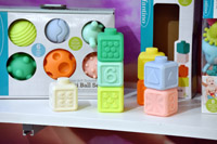 Harrogate Nursery Fair 2025