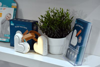 Harrogate Nursery Fair 2025