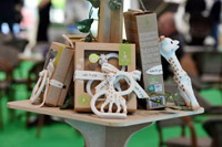 Harrogate Nursery Fair 2025