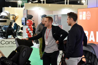 Harrogate Nursery Fair 2025