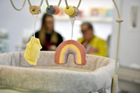 Harrogate Nursery Fair 2025