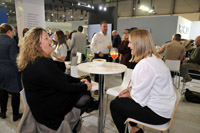 Harrogate Nursery Fair 2025