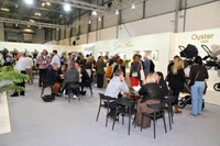 Harrogate Nursery Fair 2025