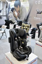 Harrogate Nursery Fair 2026