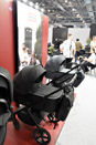 Harrogate Nursery Fair 2026