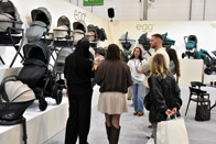 Harrogate Nursery Fair 2026