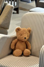 Harrogate Nursery Fair 2026