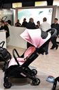 Harrogate Nursery Fair 2026