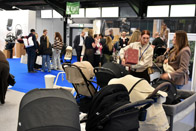 Harrogate Nursery Fair 2026